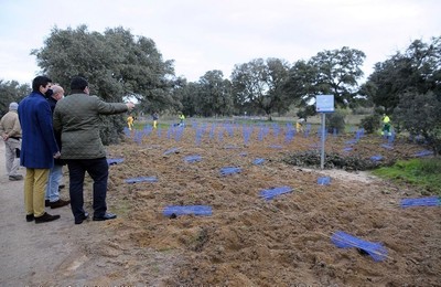 /media/noticias/fotos/pr/2020/12/17/boadilla-plantara-mas-de-30000-arboles-y-arbustos-para-regenerar-diversas-zonas-del-monte_thumb.jpg